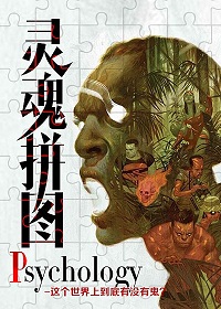 《Psychology 灵魂拼图》（校对版全本）作者：伯百川 封面